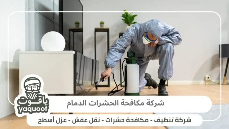 شركة مكافحة الحشرات الدمام